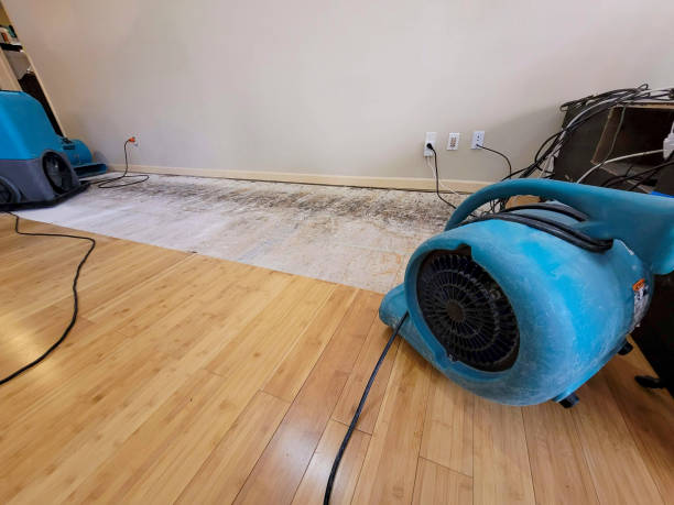 Professional Structural Drying technician working in Gillsville, GA